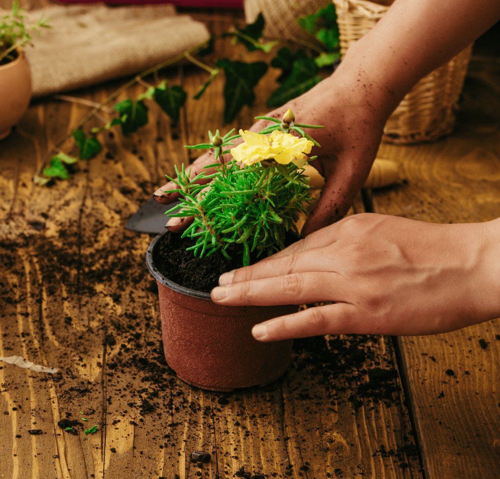 seo-freelancer-singapore-services (1)