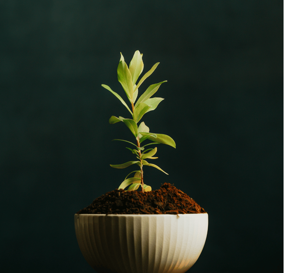 seo-freelancer-singapore-services (2)